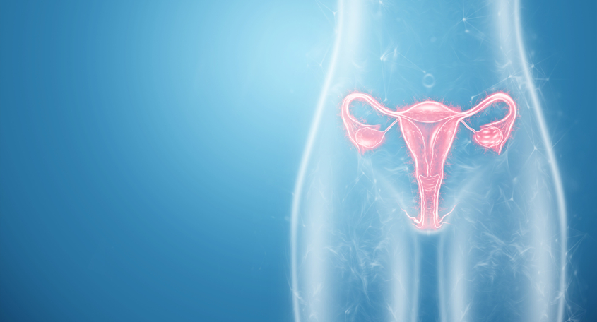 Adenomyosis vs endometriosis vs fibroids