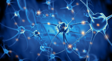 Neuropelveology